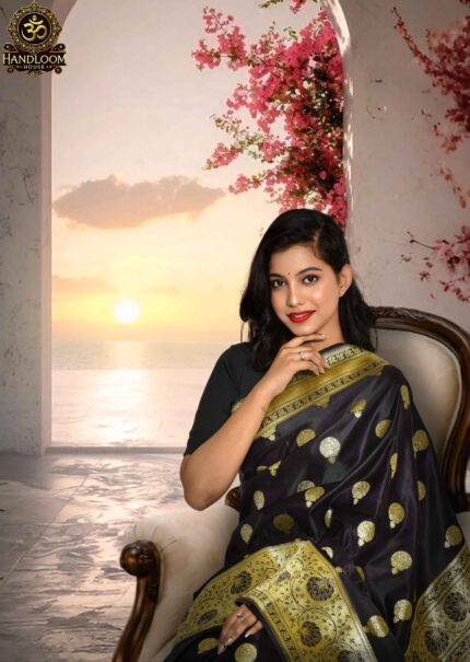Youthful Organza Saree